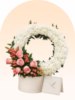 Sympathy & Funeral