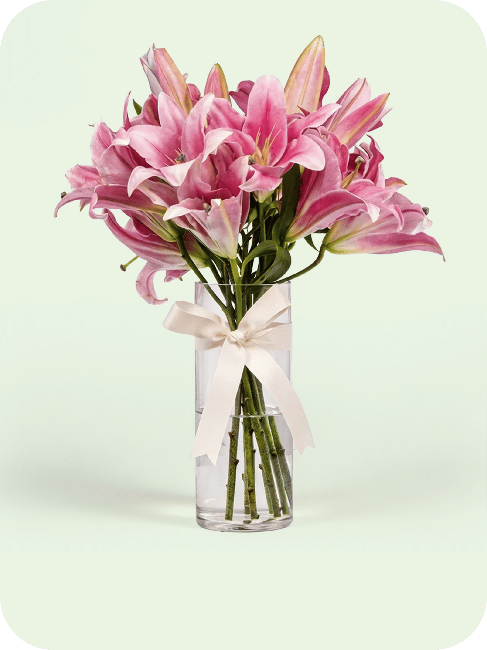Lilies