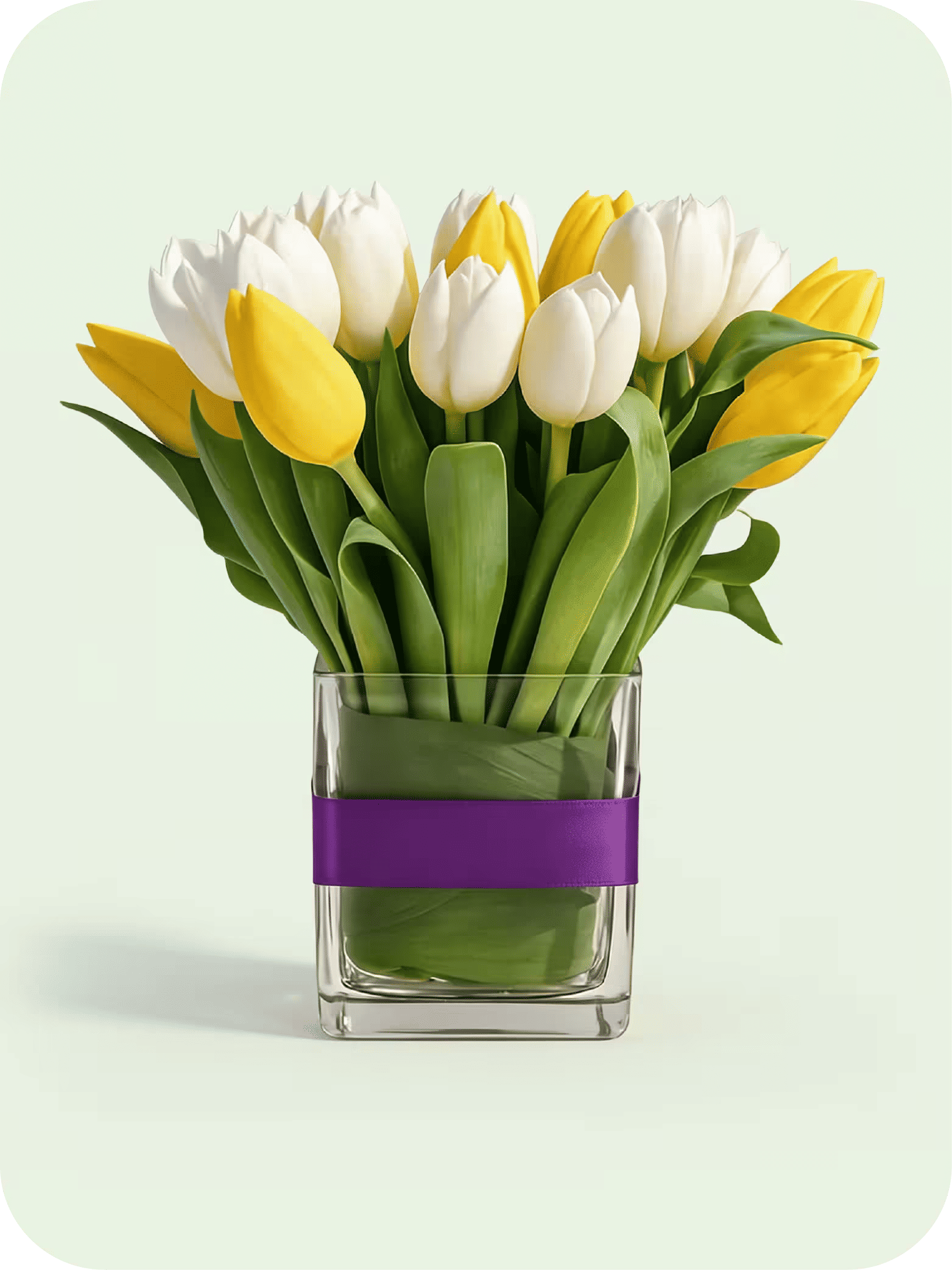 Tulips