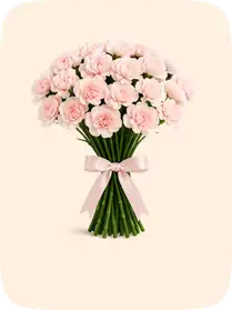 Carnations