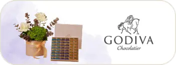 Banner 2