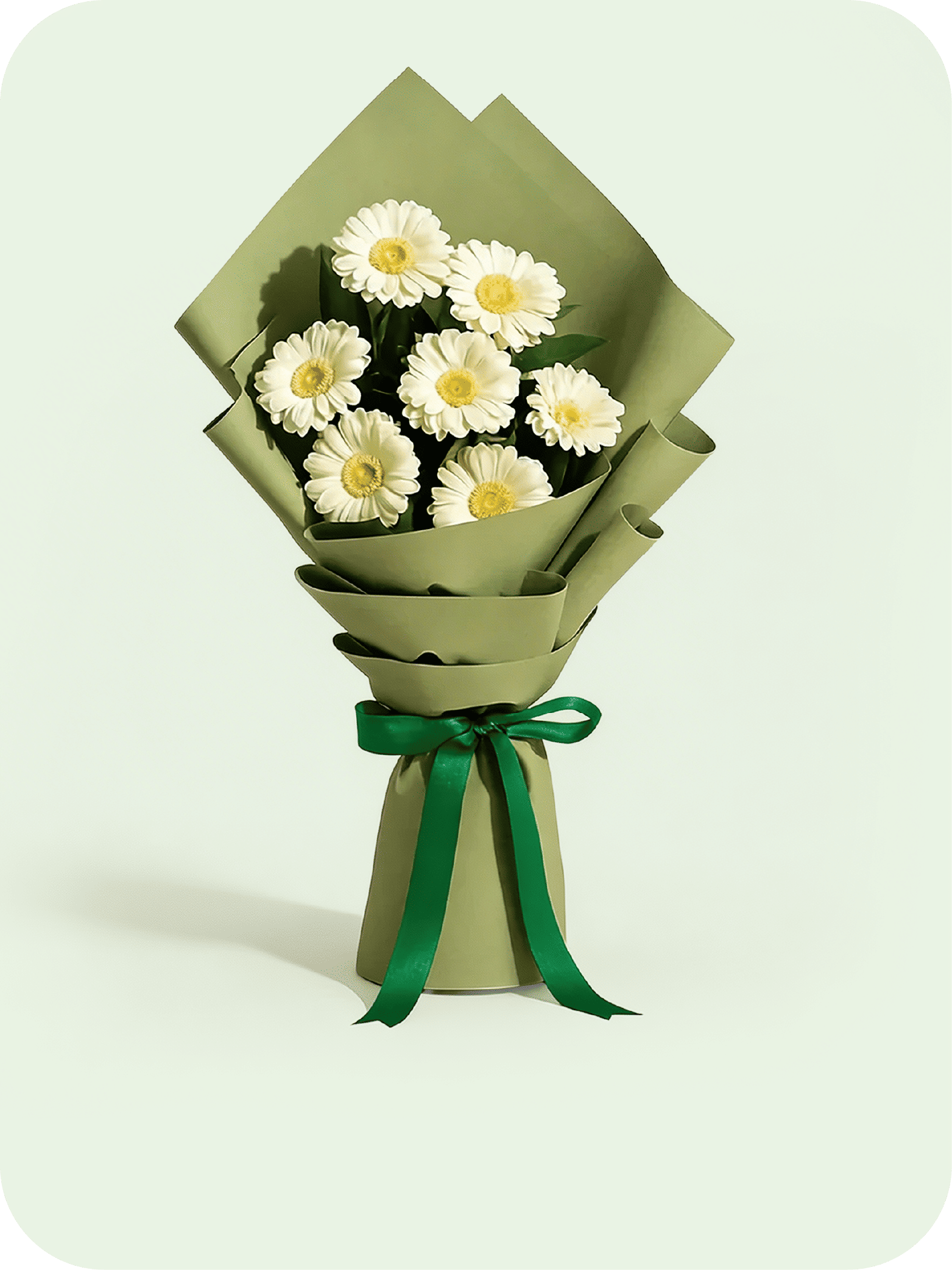 Gerbera