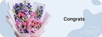 Banner 3