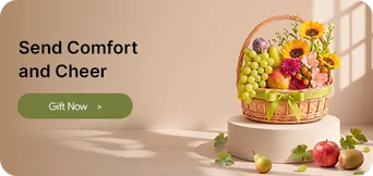 Right Bottom Banner