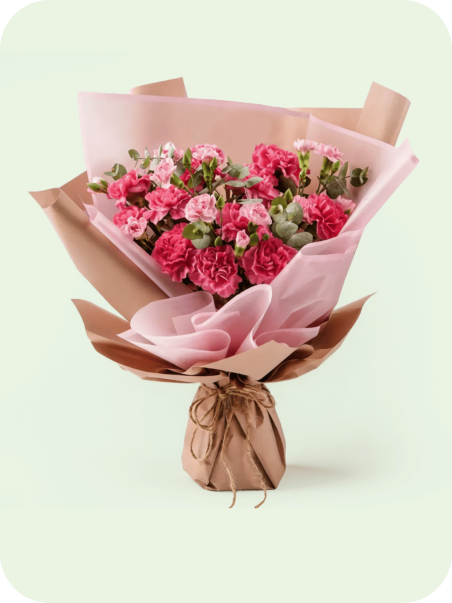 Carnations