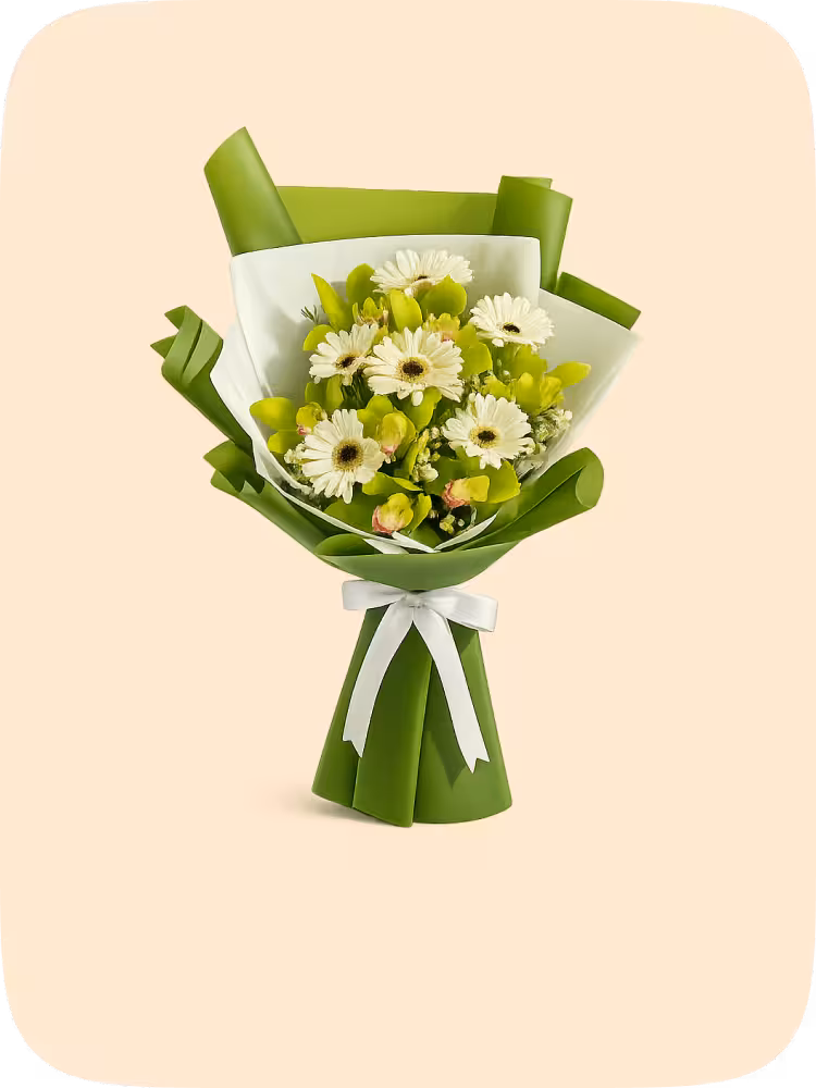 Gerbera