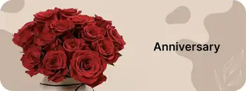 Banner 2