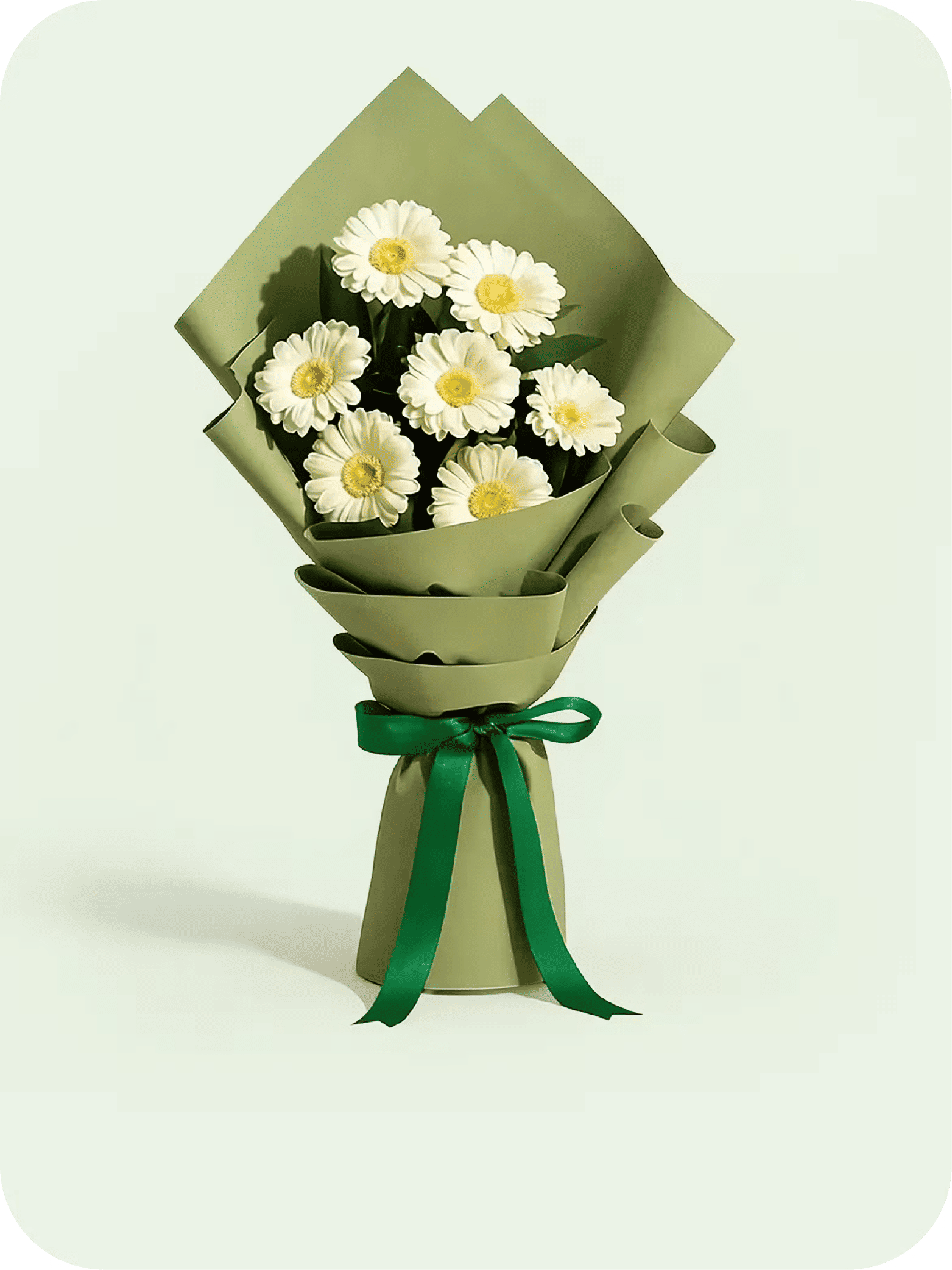Gerberas