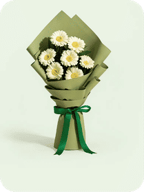 Gerberas