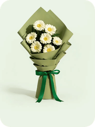 Gerberas