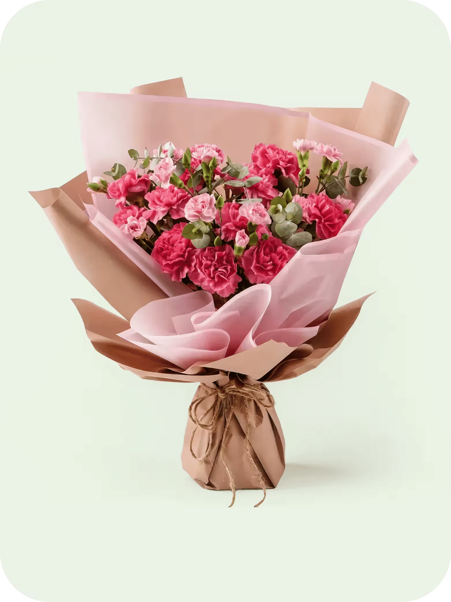 Carnations