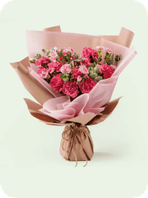 Carnations