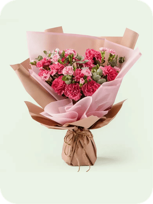 Carnations