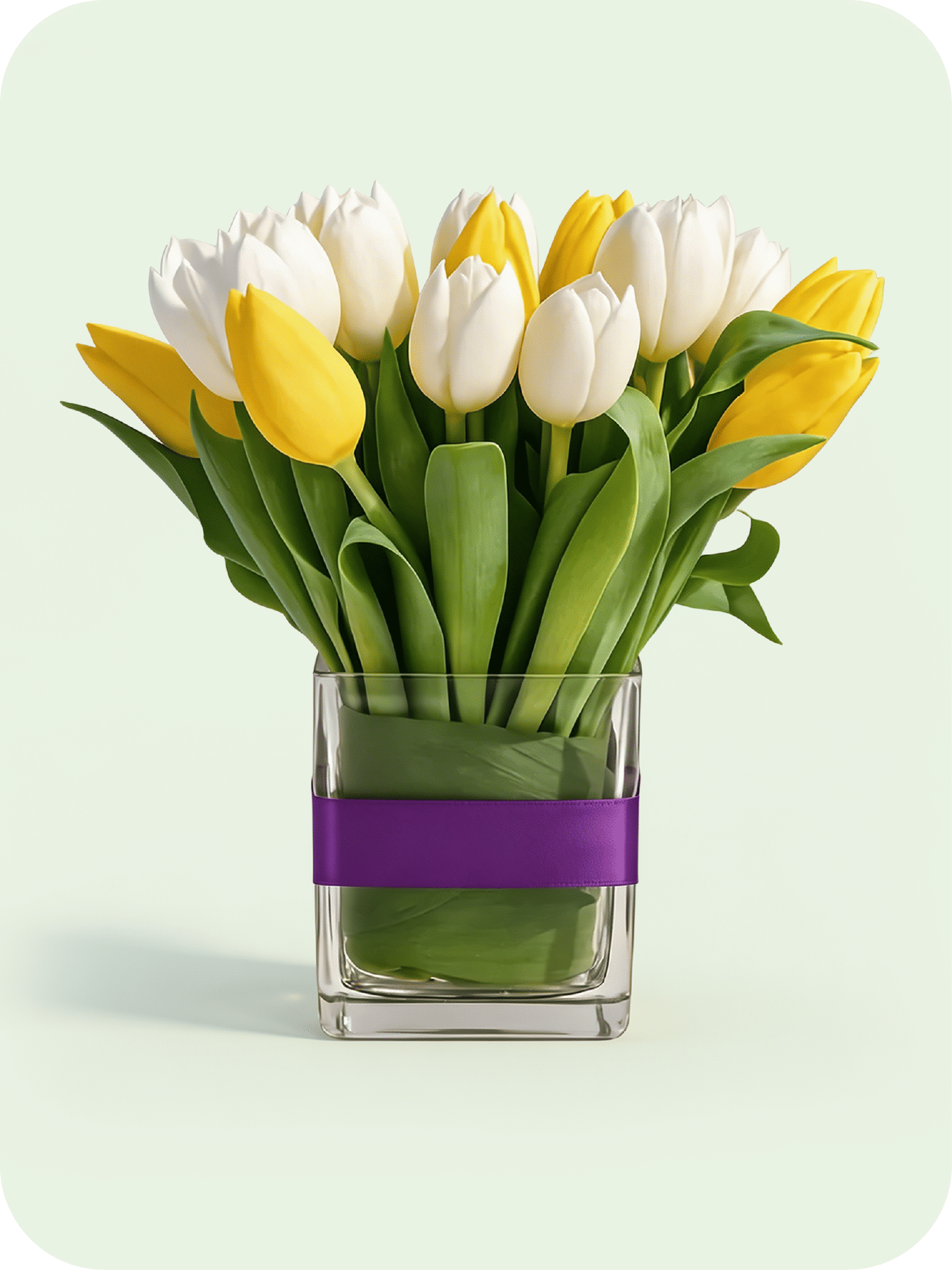 Tulips
