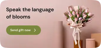 Right Top Banner