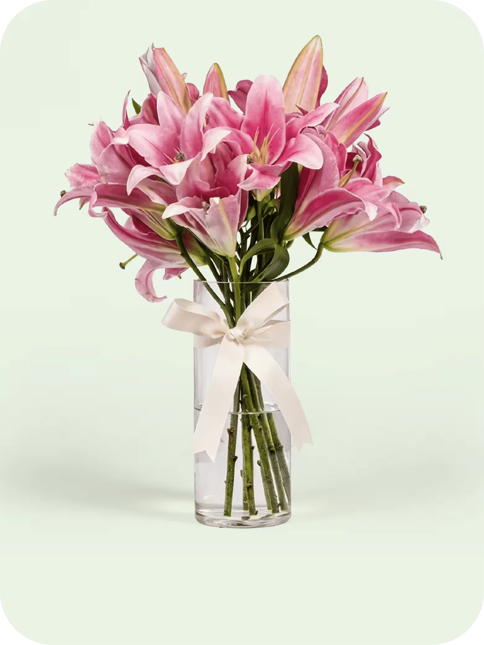Lilies