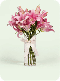 Lilies