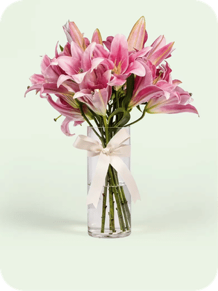 Lilies