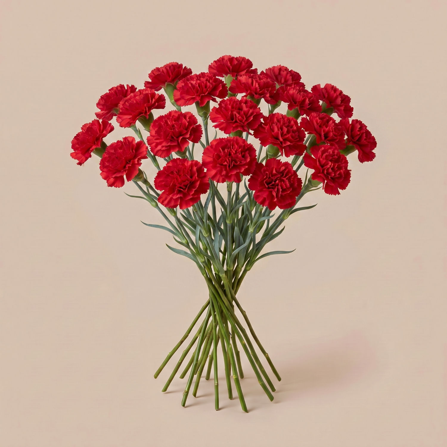 20 Stems