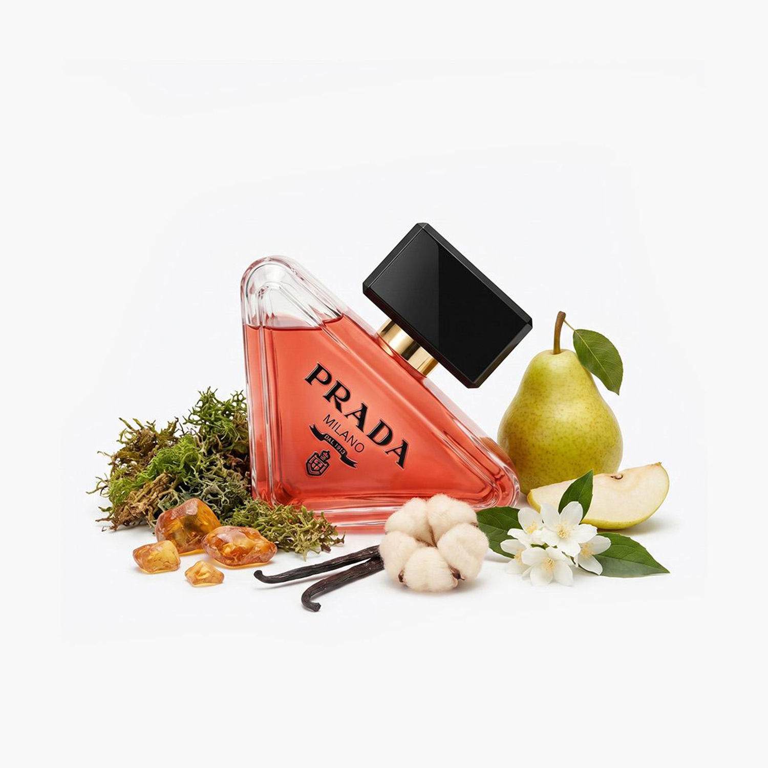 Prada Paradoxe Luxury Gift Box for Her