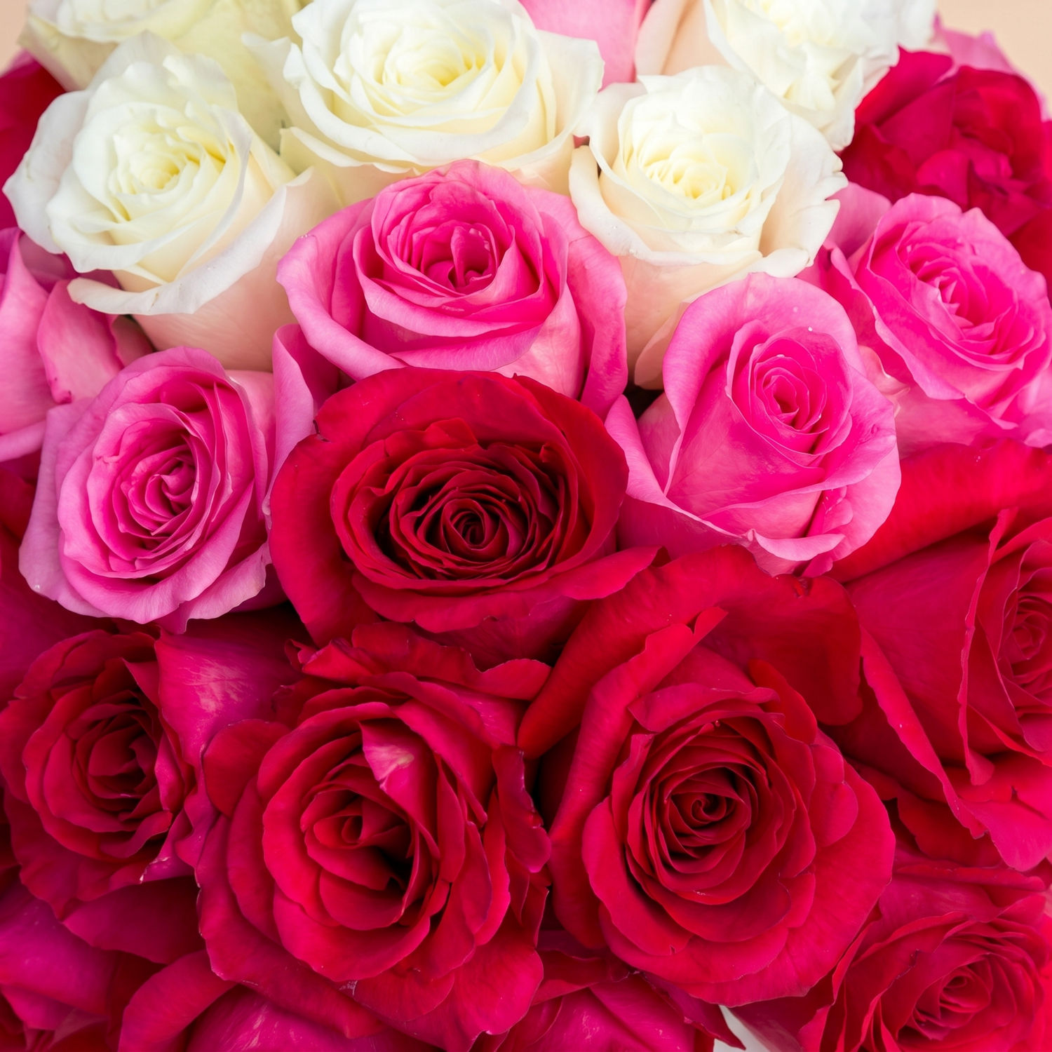 Blooming Roses Arrangement - Pink & White Roses