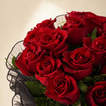 Red Rose Elegance LED Wrapping Bouquet - With Cake