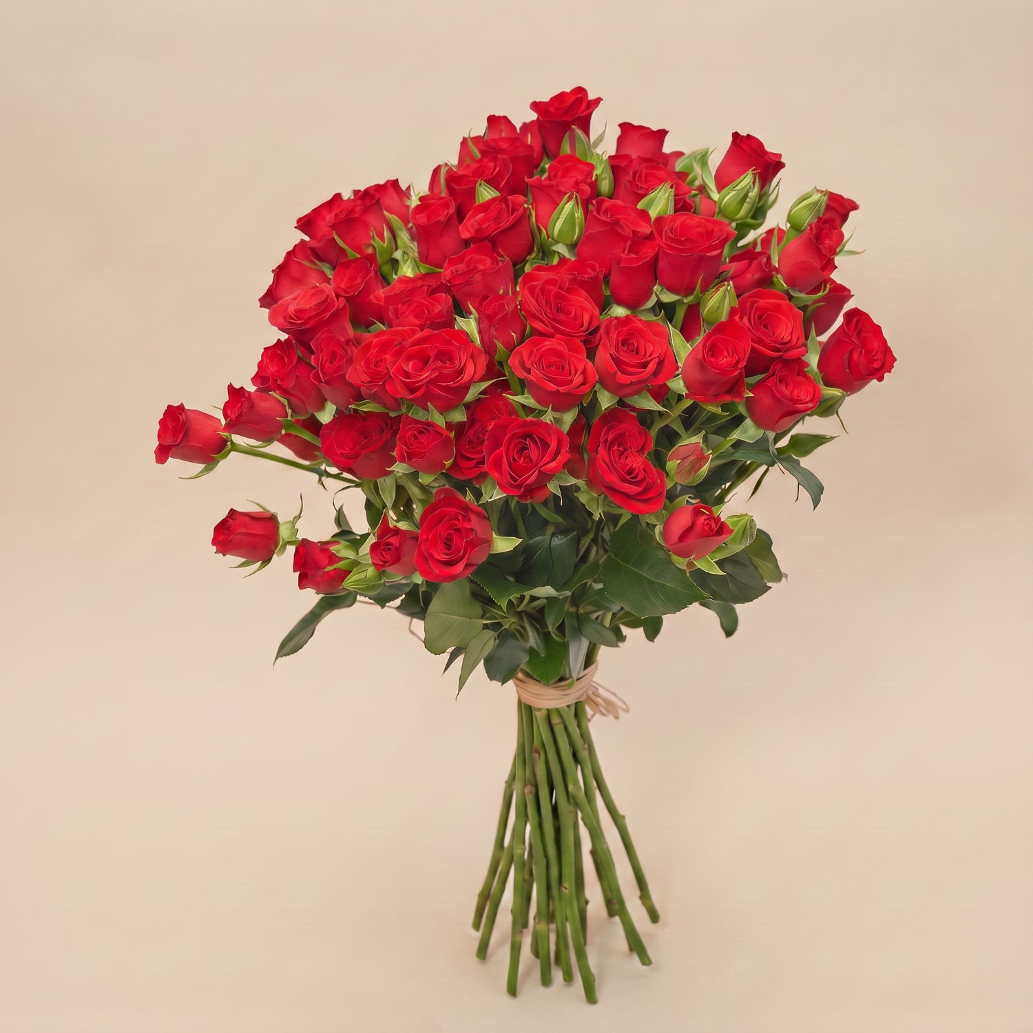 20 Stems