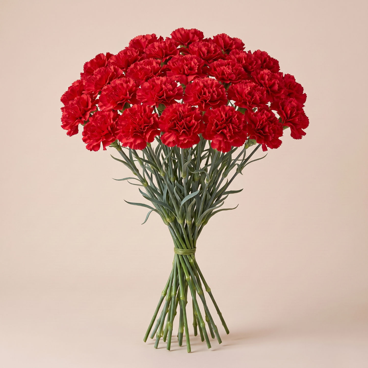 30 Stems