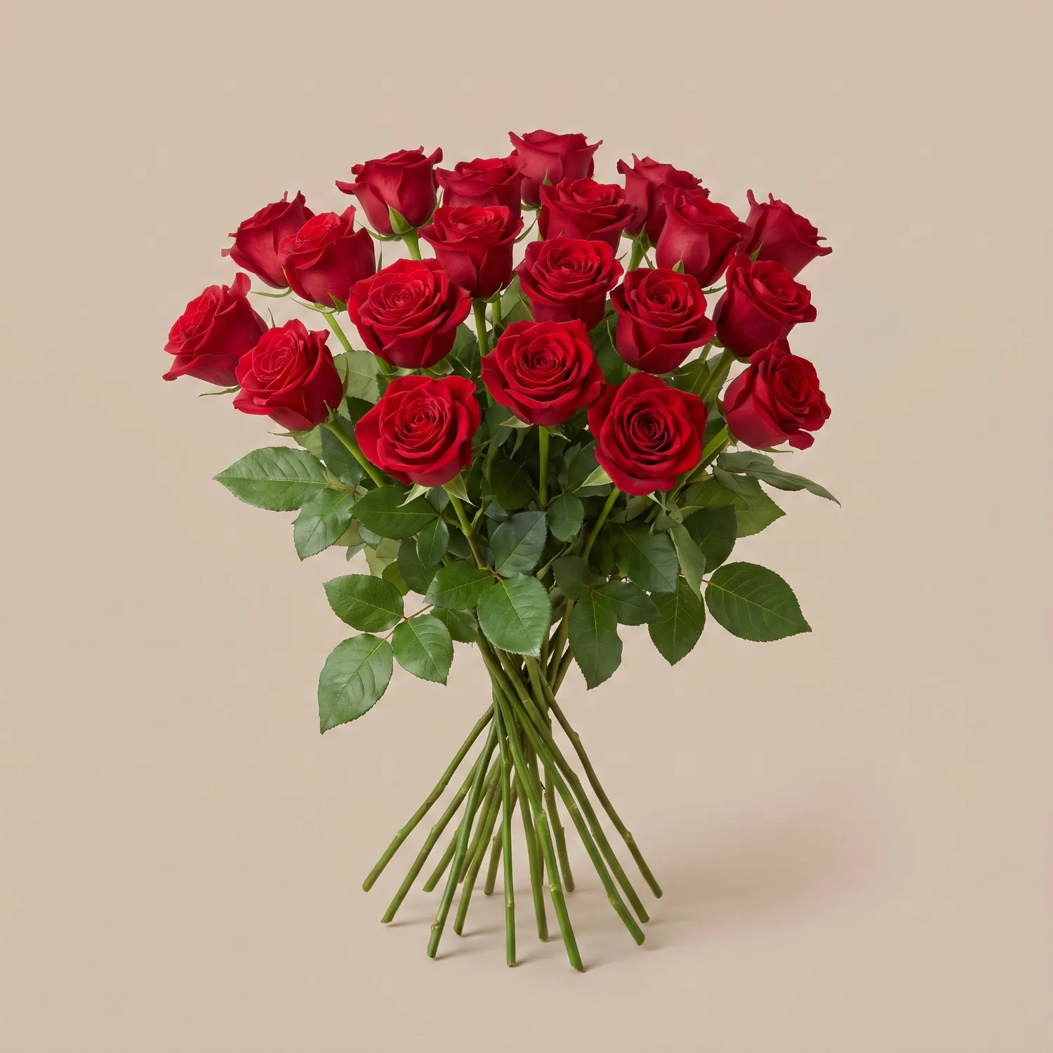 20 Stems