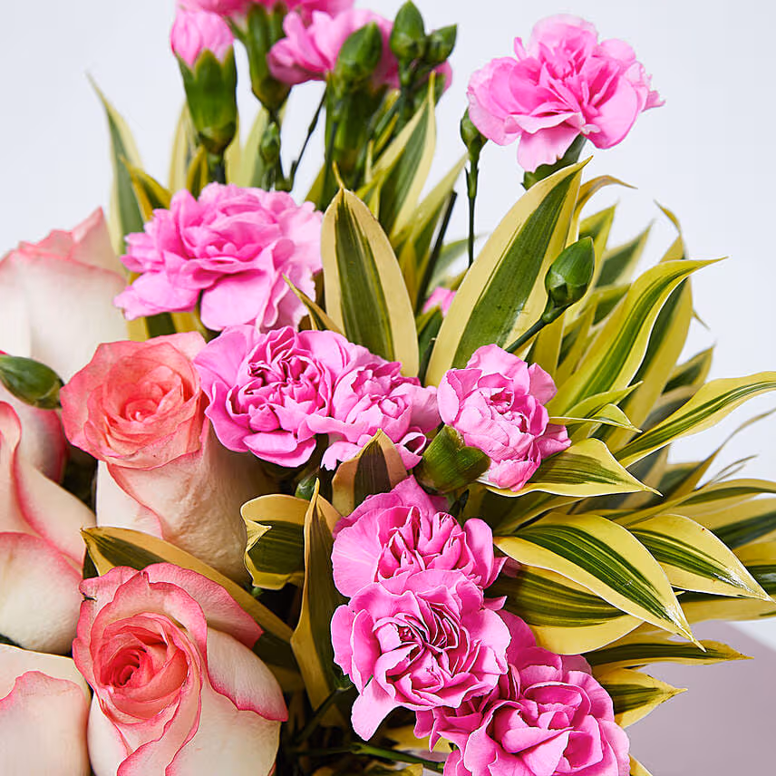 Dual Shade Roses And Carnations In Vase