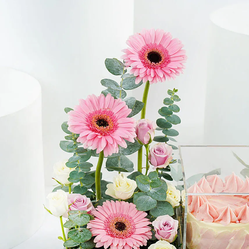 Pink Gerbera & Red Velvet Cake Gift Combo