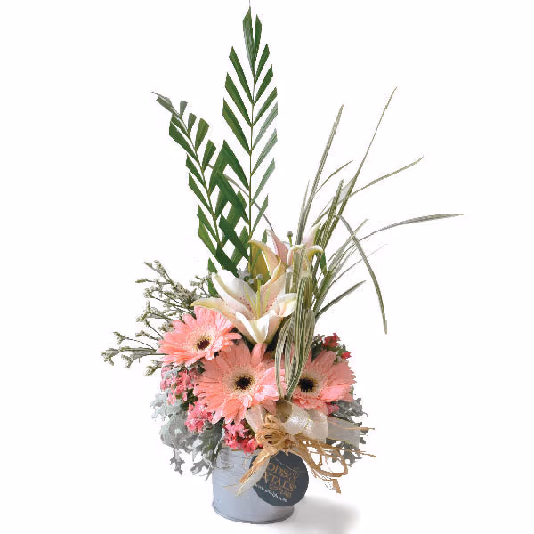 Sansli Gerberas Lilies Flower in Pot