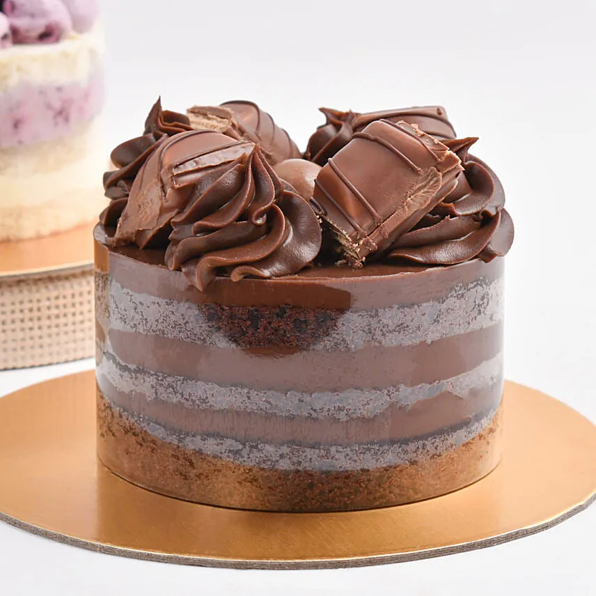 Choco Vanilla Harmony Duo