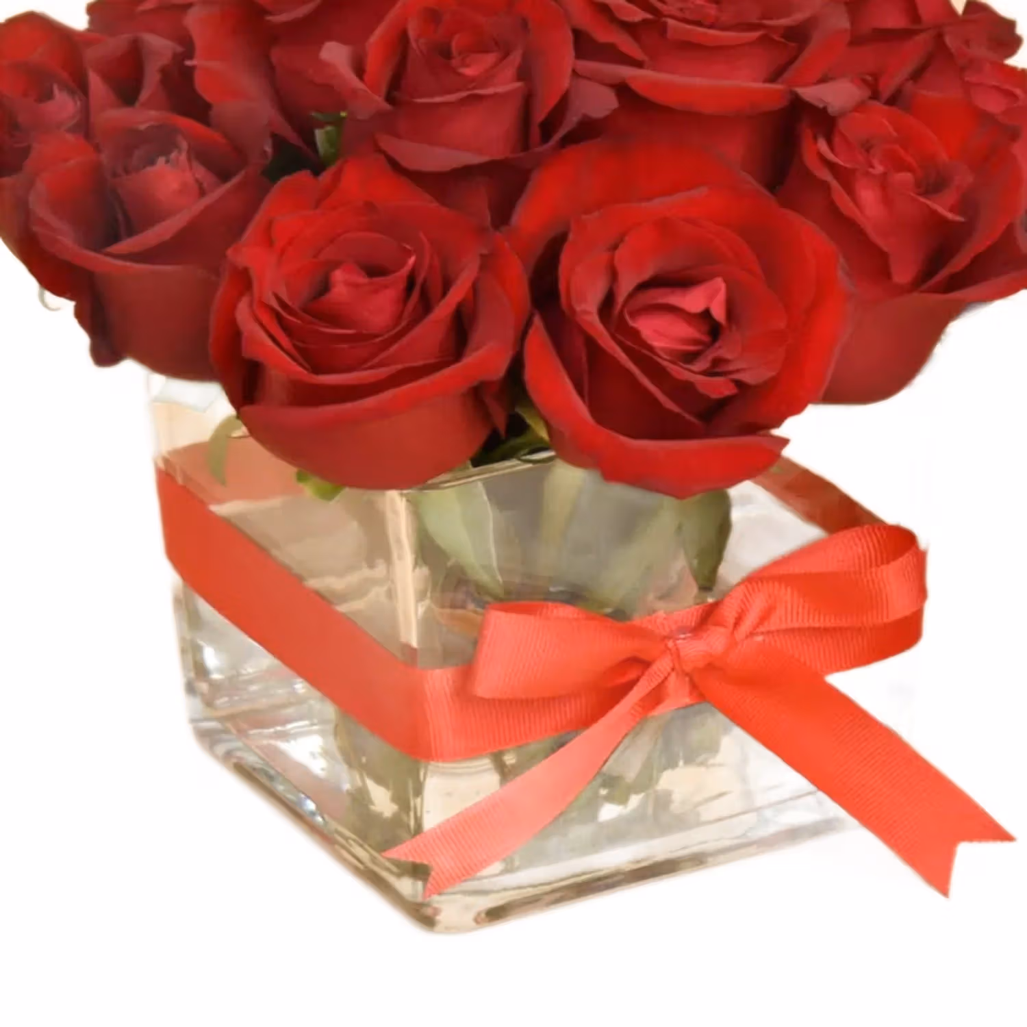 15 Roses in a Vase
