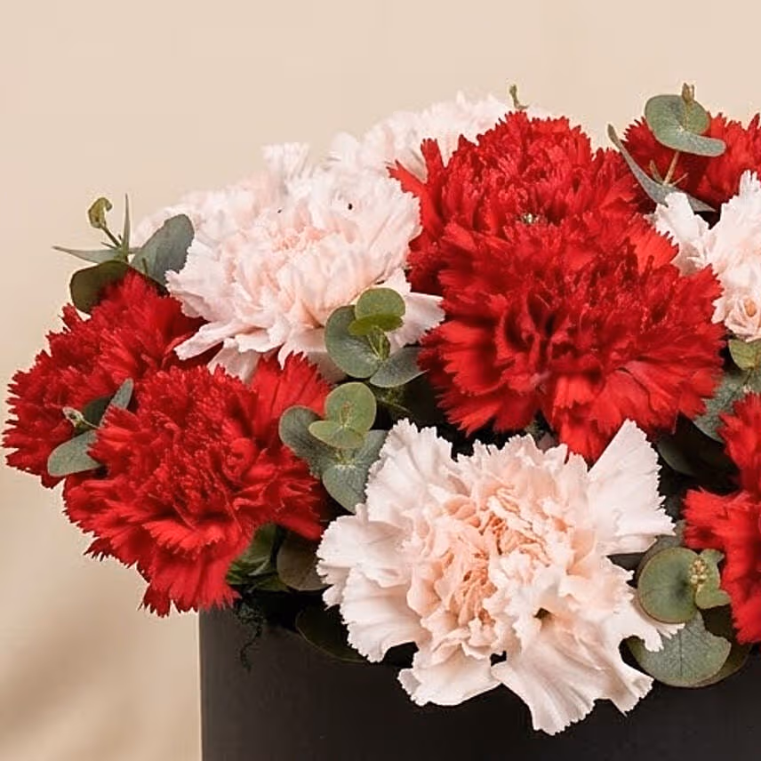 Carnations Flower Box