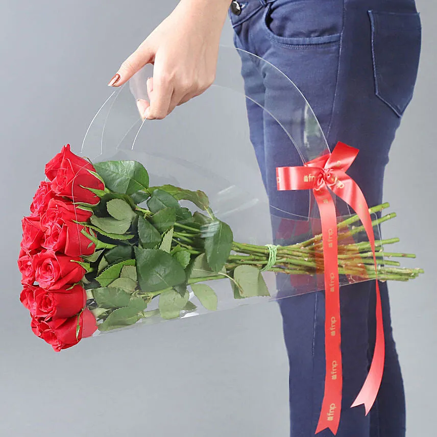 Red Rose Beauty