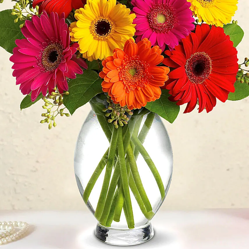 Heavenly Multicoloured Gerberas With Moet Champagne
