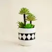  Artificial Succulent White Geometric Pot
