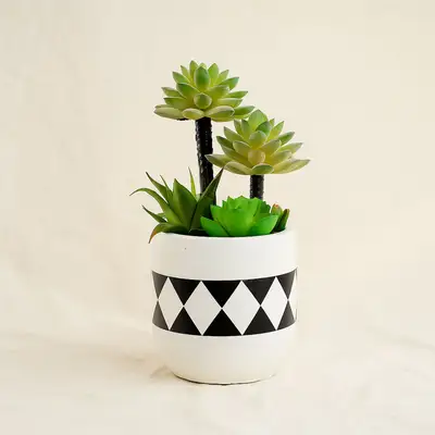 Artificial Succulent White Geometric Pot
