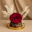 Eternal Blush Bloom: Timeless Elegance with Forever Red Rose