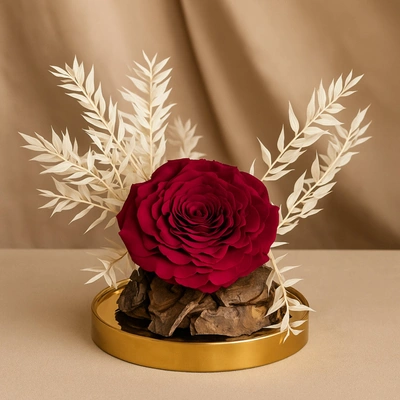 Eternal Blush Bloom: Timeless Elegance with Forever Red Rose