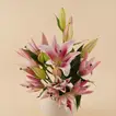 Royal Pink Lily Vase