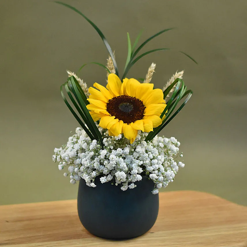 Sunflower & Baby Breath Designer Vase