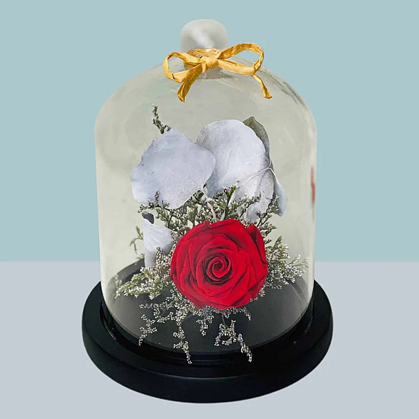 Red Forever Rose in Dome for Valentines Day