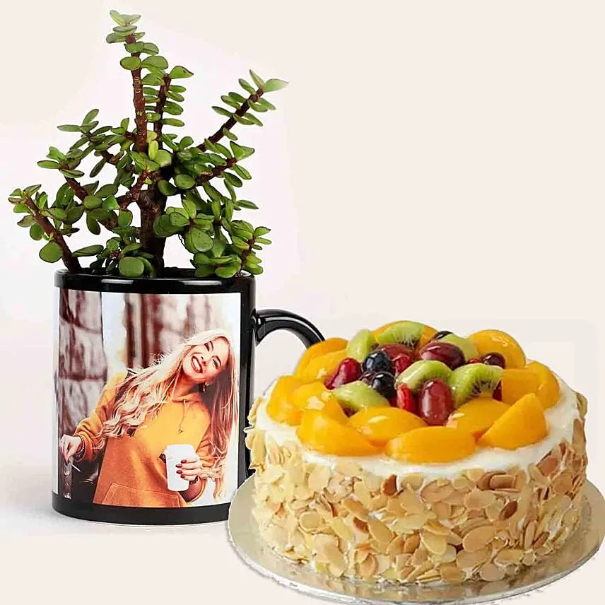 Jade Plant Personalised Black Mug & Fruit Cake
