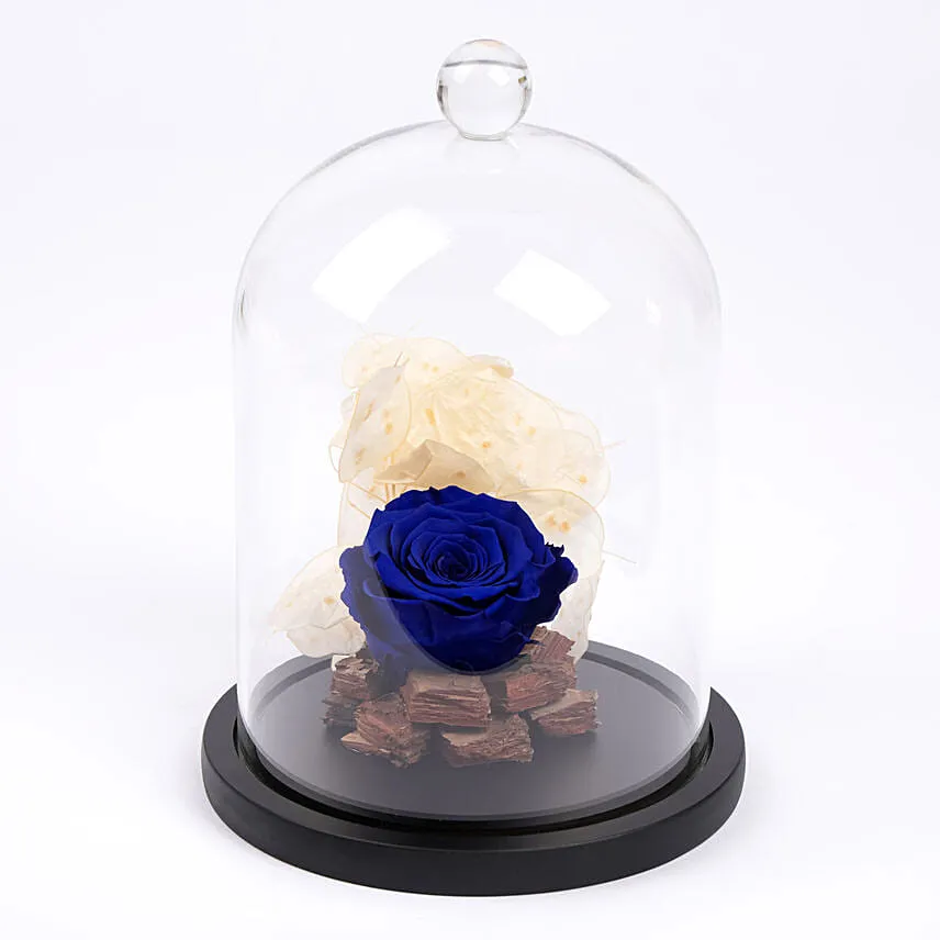 Blue Forever Rose