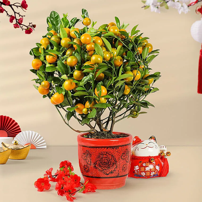 Orange Tree Pot