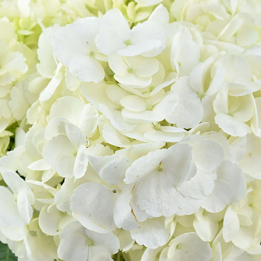 Set Of 3 Graceful Flower Arrangements