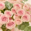 Pink Spray Rose Vase - Flowers