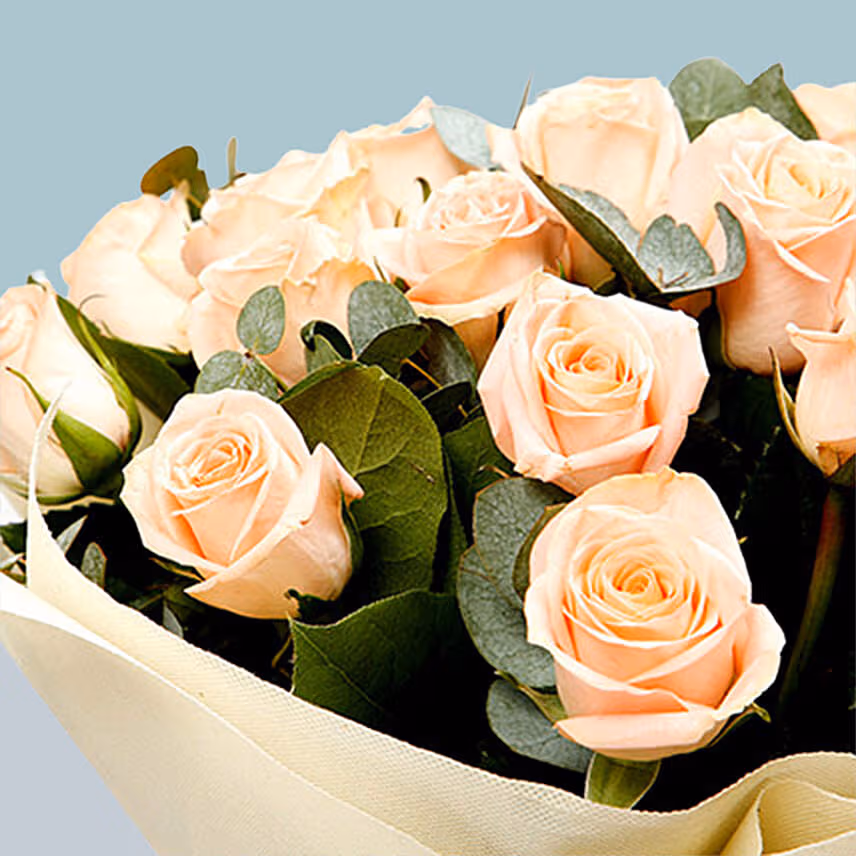 Bouquet of 20 Attractive Peach Roses
